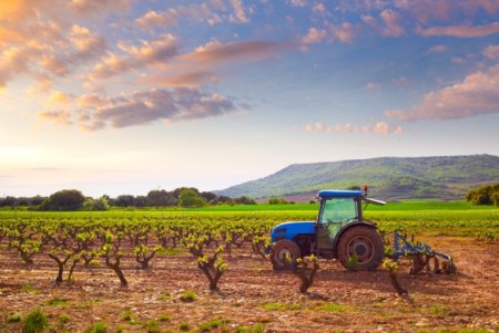 Un trattore che lavora in un campo agricolo al tramonto, con un cielo colorato sullo sfondo.