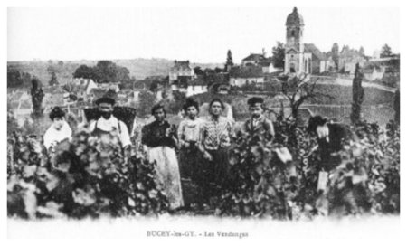 A large crowd gathered in a field, with a city and buildings visible in the background, in black and white.