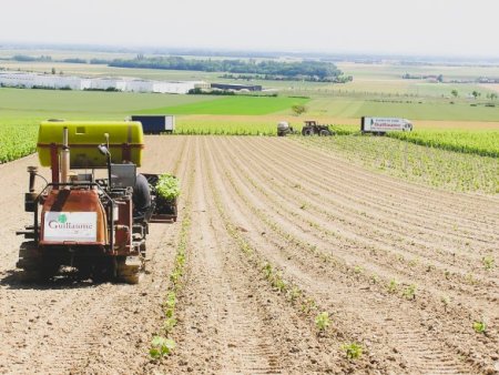 Una macchina agricola pianta giovani colture in file in un ampio campo, con trattori e terreni coltivati che si estendono all’orizzonte.