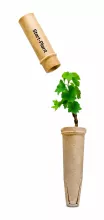 Le Start Plant ©